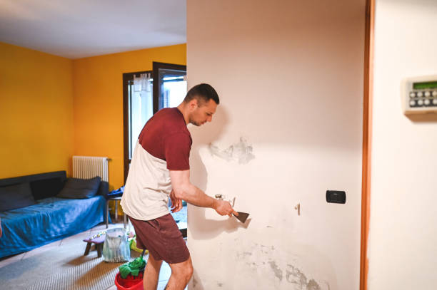 Best Mold Removal Company Near Me  in Ina, IL